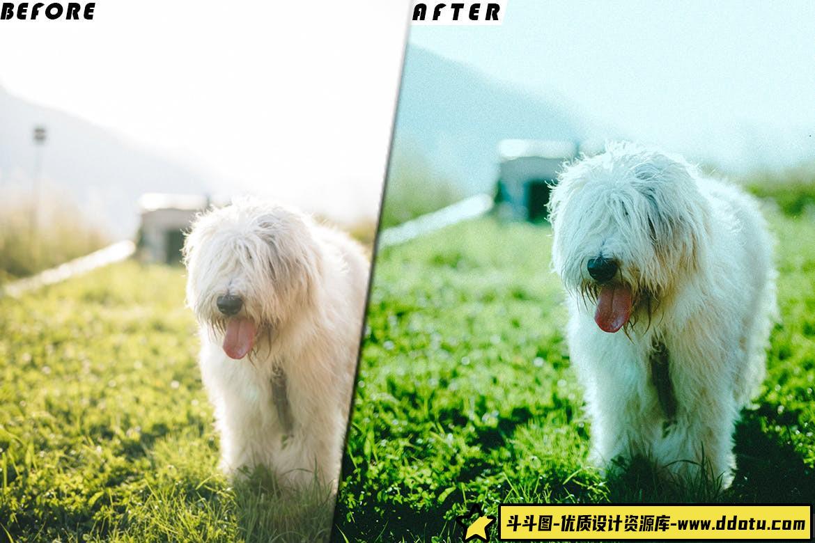 仙气飘飘清新绿色电影视频调色LUT预设 Airy Green Presets – luts