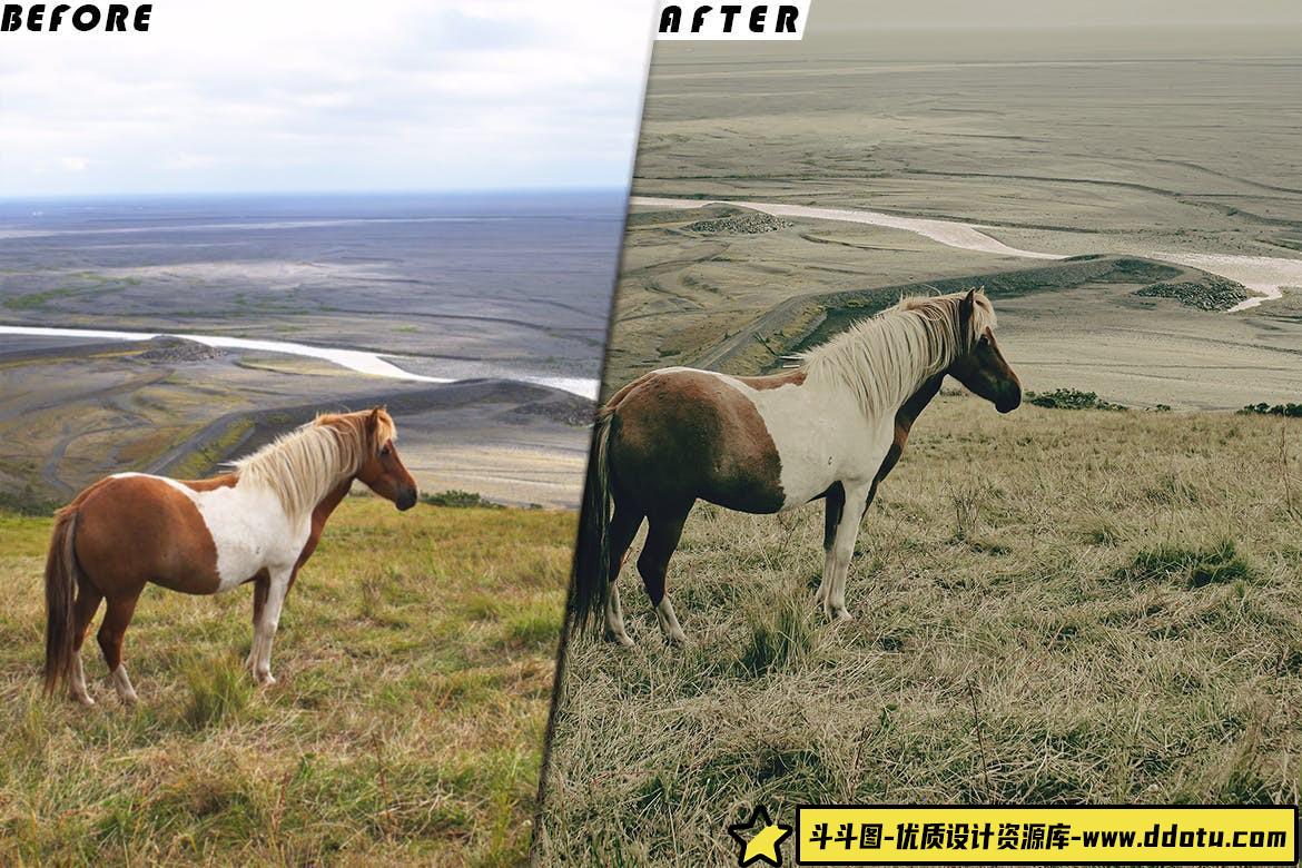 动物风光电影视频后期调色LUT预设 Twilight Lightroom Presets luts