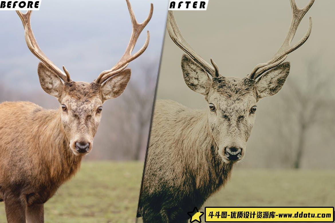 动物风光电影视频后期调色LUT预设 Twilight Lightroom Presets luts