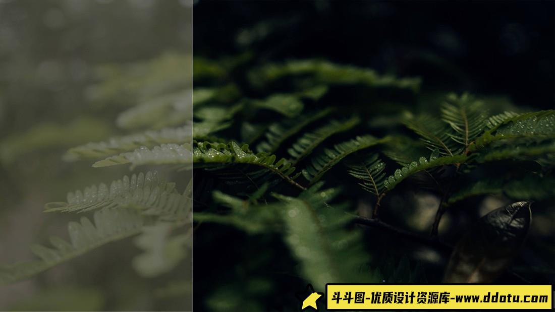 油管大神Justkay黑魔法LUT预设 Film Space – Justkay Blackmagic Gen 5 LUT