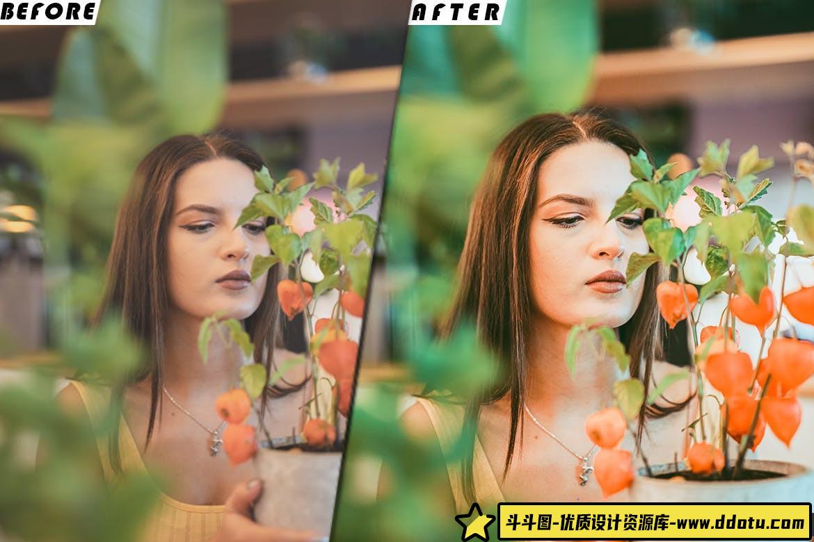 清新胶片电影调色LUT预设/LR预设 Classic Filter Presets – luts