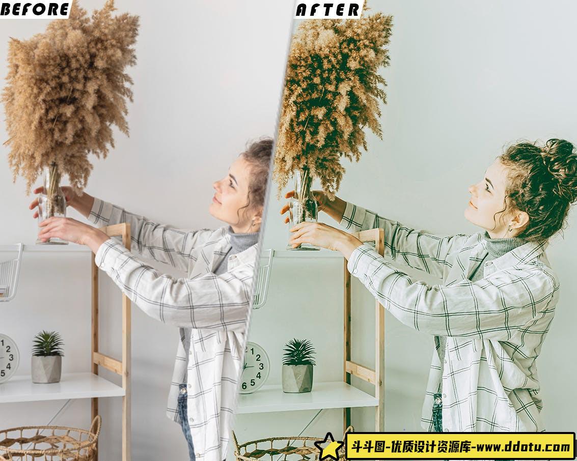 清新家庭纪录片电影调色LUT预设/Lr预设 Nature Bohemin Luts