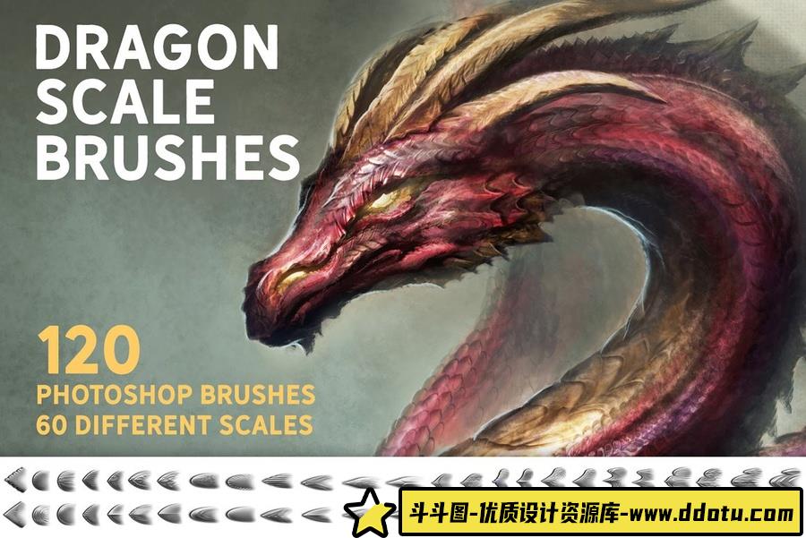 200多种龙的PS笔刷及60种爬行动物皮肤纹理无缝图案合集