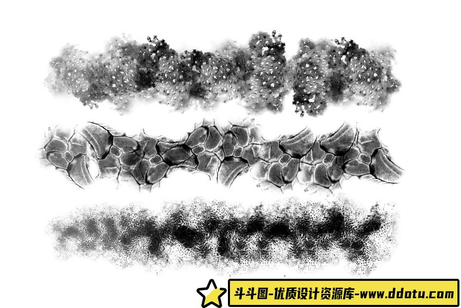 200多种龙的PS笔刷及60种爬行动物皮肤纹理无缝图案合集