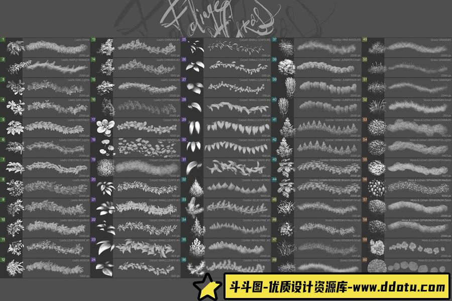 60种叶子和苔藓草地植物PS画笔笔刷套装 ABR和TPL格式