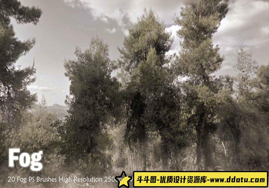 20种树木森林绘画PS笔刷-斗斗图