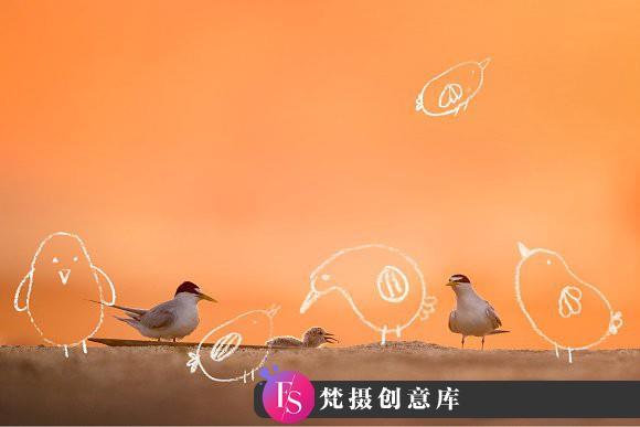 [特效创意笔刷][插件发布]蜡笔手绘绘画笔刷 Scribble-PS Brushes