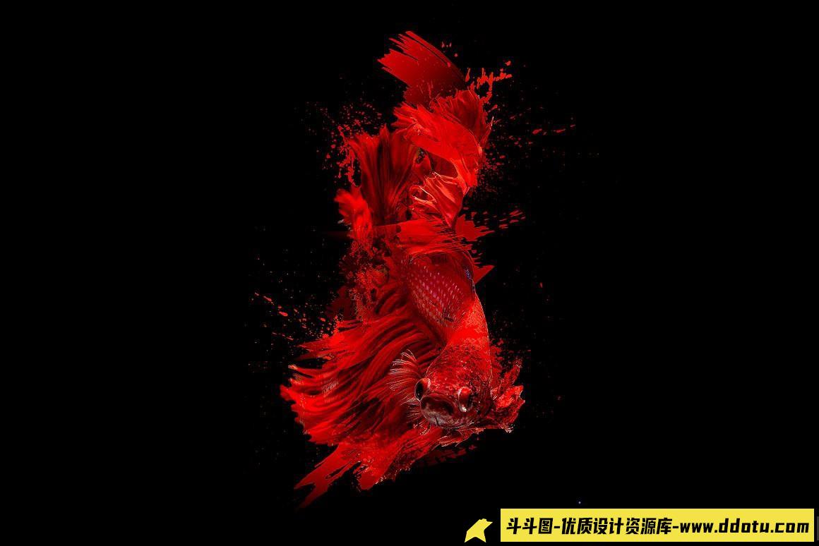 [水墨水彩笔刷][插件发布]50个创意水墨笔触和飞溅PS笔刷下载