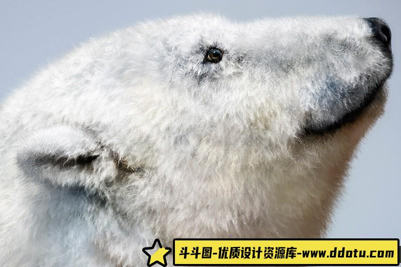 [特效创意笔刷][插件发布]适用于Photoshop和Clip Studio Paint逼真的毛刷套装