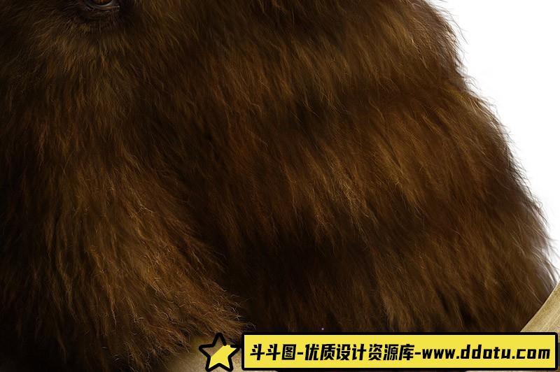 [特效创意笔刷][插件发布]适用于Photoshop和Clip Studio Paint逼真的毛刷套装