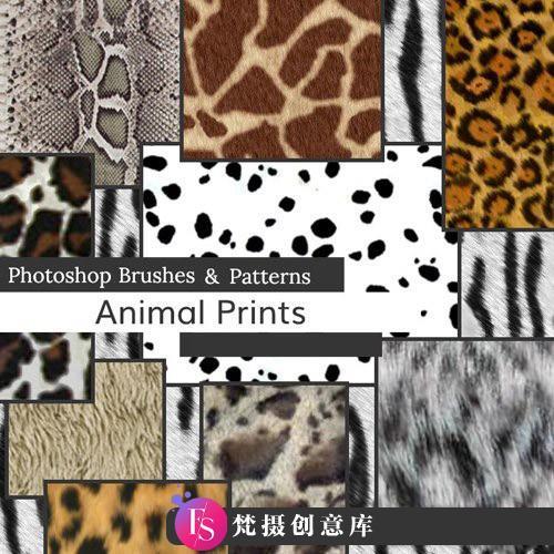 [动物相关笔刷][插件发布]用于 Photoshop 和 Elements 的动物印花画笔和图案-斗斗图