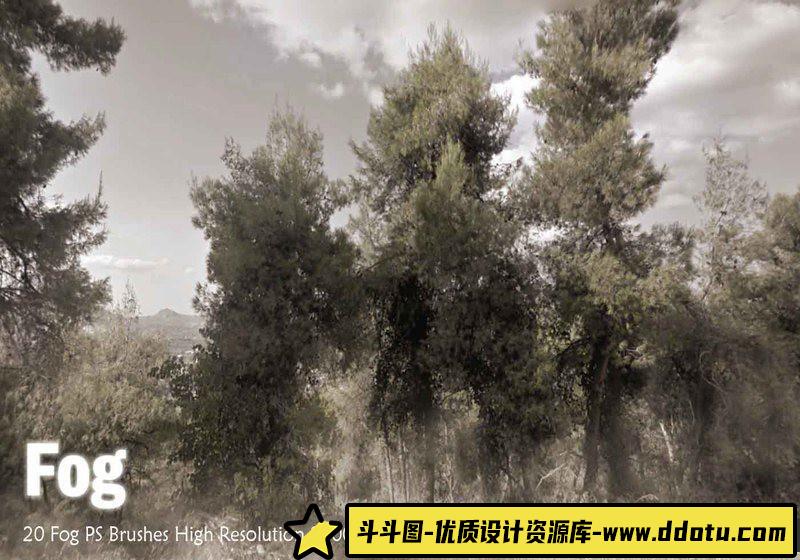 [自然风景笔刷][插件发布]20种树木森林绘画PS笔刷-斗斗图