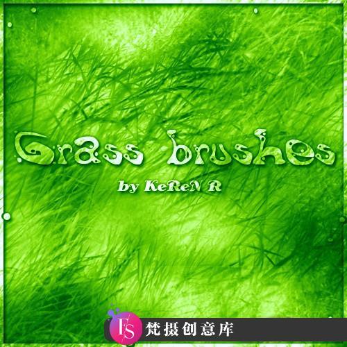 [自然风景笔刷][插件发布]自然绿草植物PS笔刷素材-斗斗图
