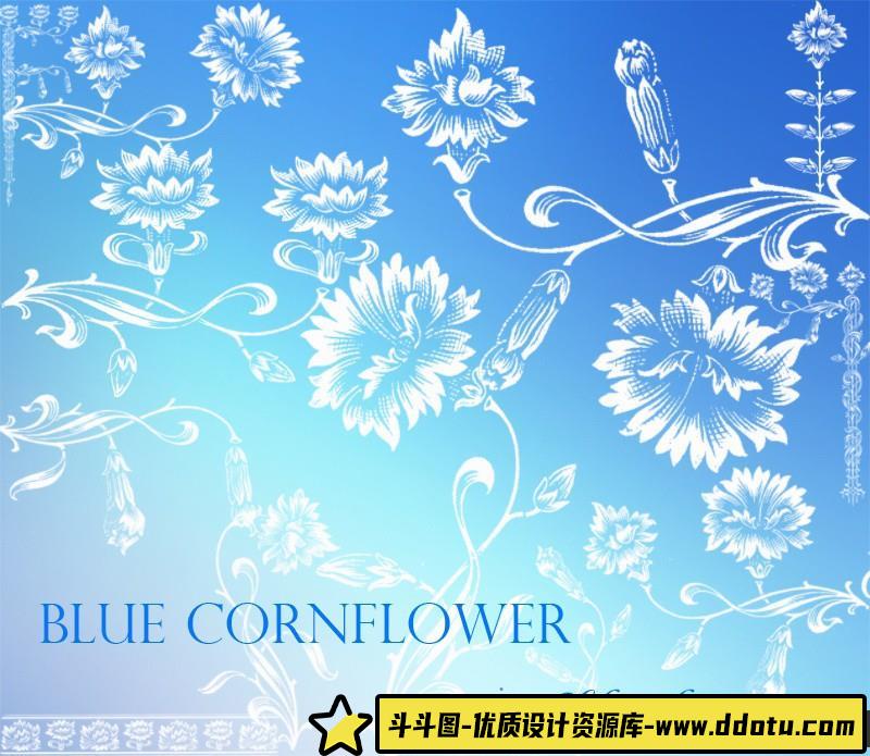 [装饰花纹笔刷][插件发布]装饰花朵花卉PS笔刷素材下载-斗斗图
