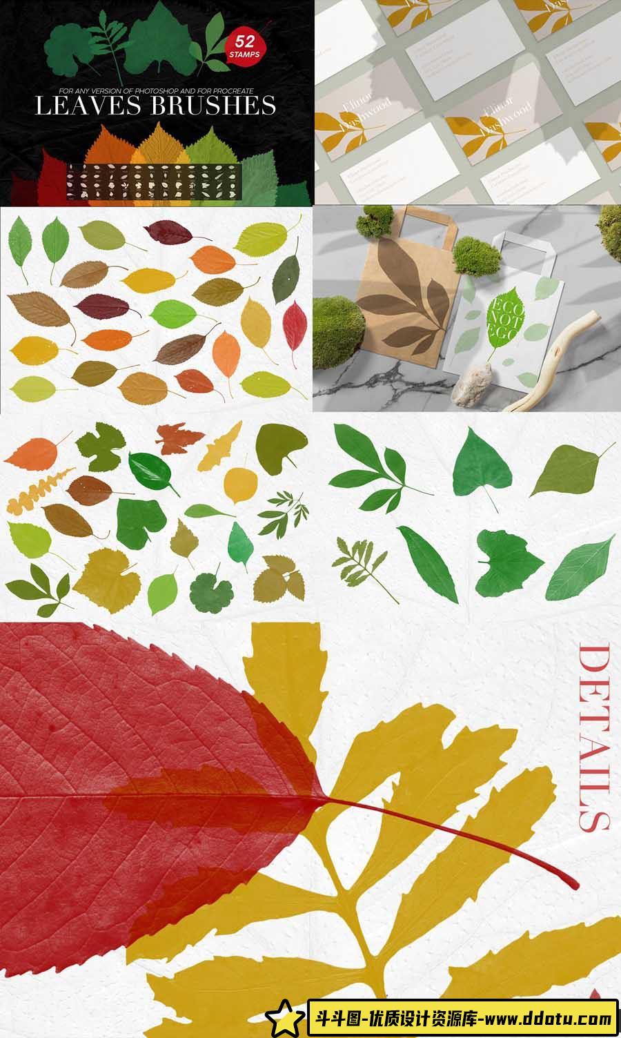 [笔刷打包下载][插件发布]5673个Photoshop笔刷超级捆绑 Photoshop Brushes Mega Bundle(20GB)