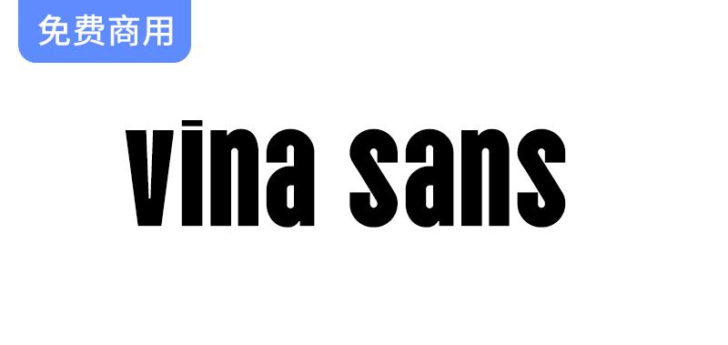 探索Vina Sans：越南路牌、传单与海报中的独特字体魅力-斗斗图