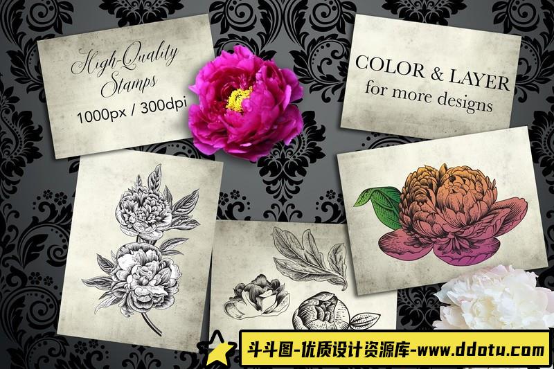 [Procreate笔刷]Procreate复古牡丹花植物图案画笔ProcreatePeoniesStampset