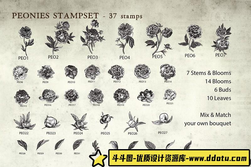 [Procreate笔刷]Procreate复古牡丹花植物图案画笔ProcreatePeoniesStampset