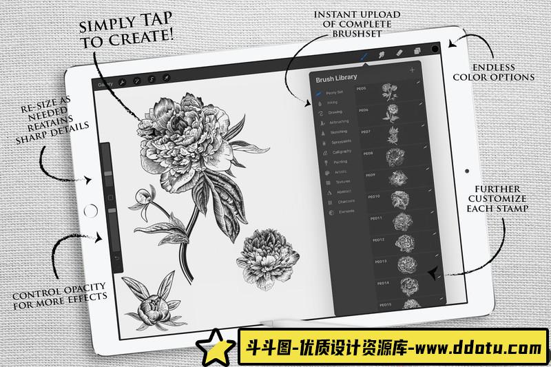 [Procreate笔刷]Procreate复古牡丹花植物图案画笔ProcreatePeoniesStampset