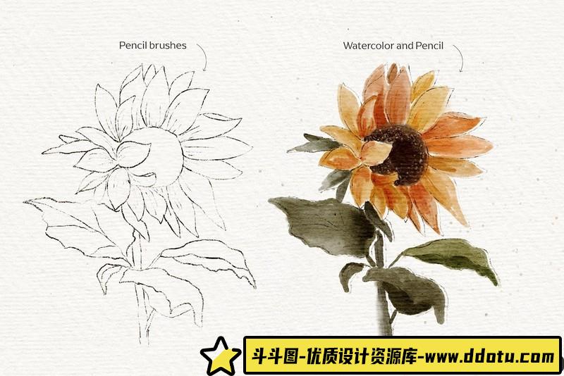 [Procreate笔刷]现代纸胶带vol1-30纹理和图案ProcreateApp画笔