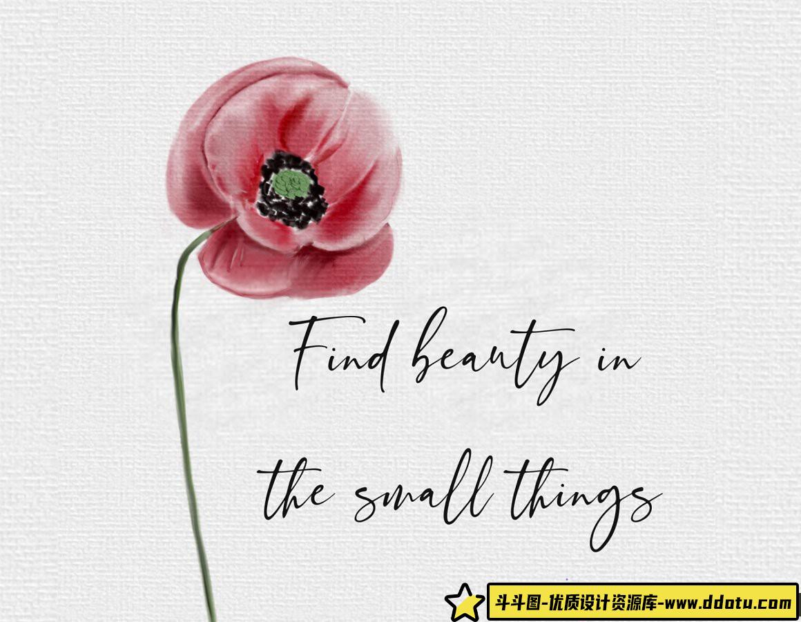 [Procreate笔刷]适用于Procreate APP的素描油漆绘画工具包-附中文字幕教程