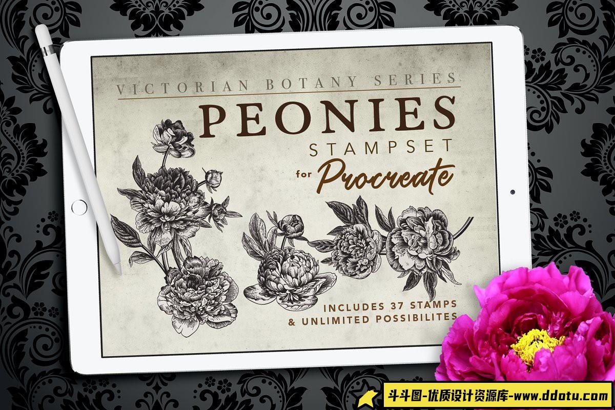 [Procreate笔刷]Procreate 复古牡丹花植物图案画笔 Procreate Peonies Stampset-斗斗图