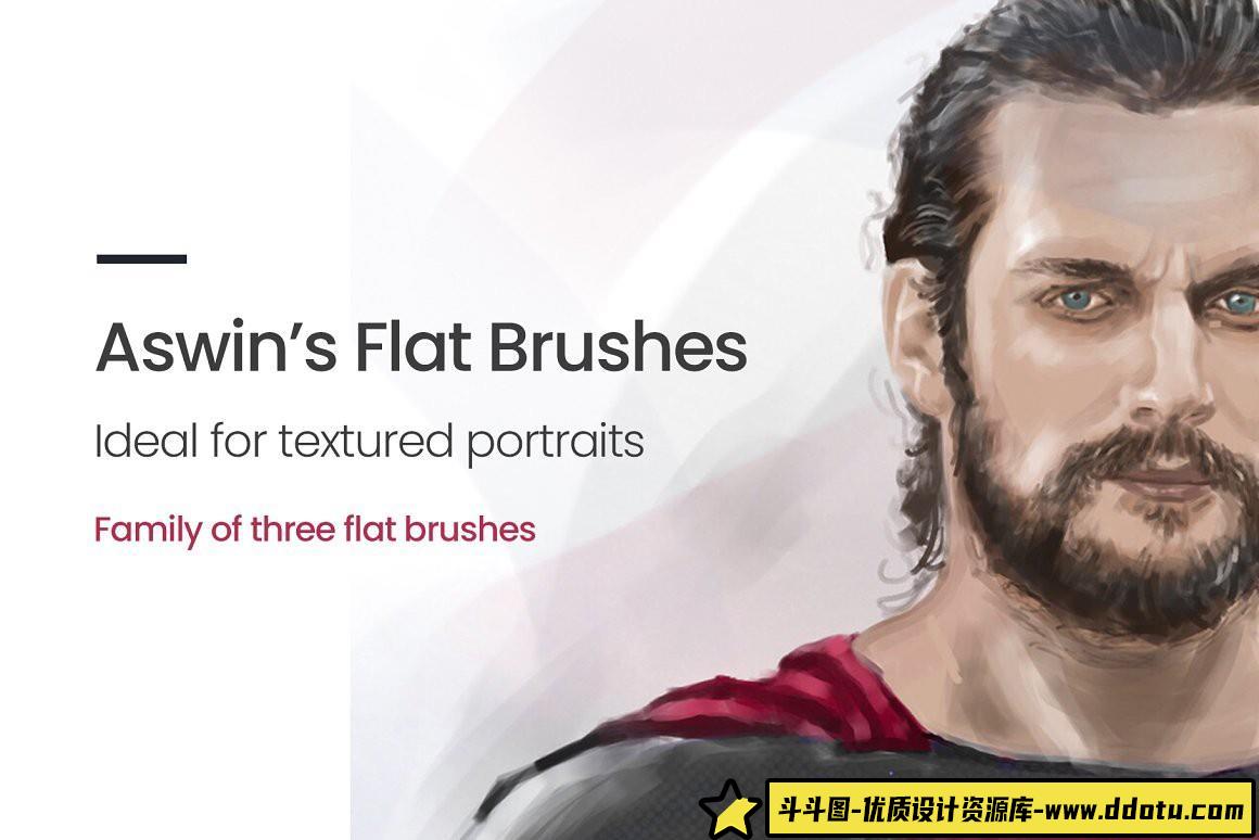 [Procreate笔刷]Procreate笔刷› 用于 Procreate 的平面肖像画笔-斗斗图