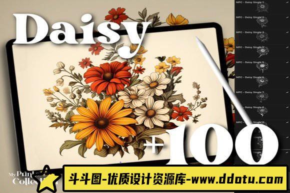 [Procreate笔刷]100个高品质Procreate雏菊系列插图画笔 100+ Procreate Daisy Stamps-斗斗图