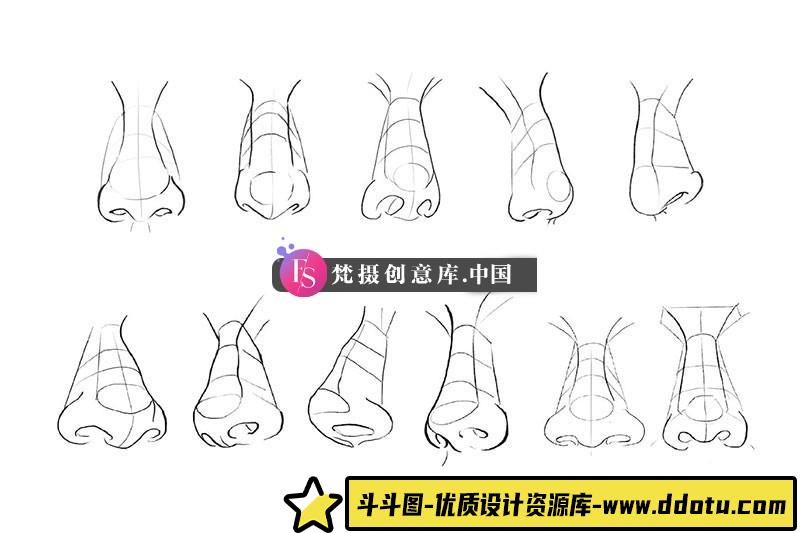 图片[2]-10个角度鼻子线稿Procreate笔刷-斗斗图