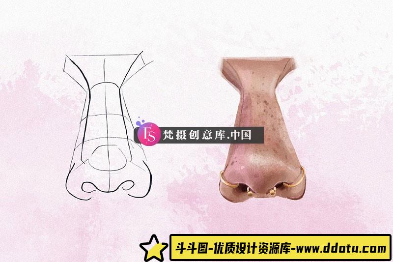 图片[3]-10个角度鼻子线稿Procreate笔刷-斗斗图