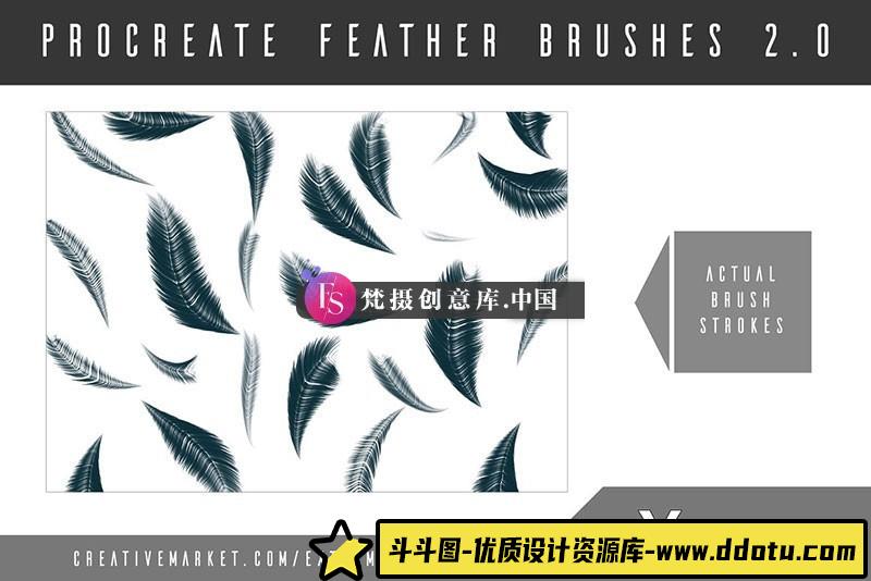 图片[3]-8种Procreate羽毛笔刷-斗斗图