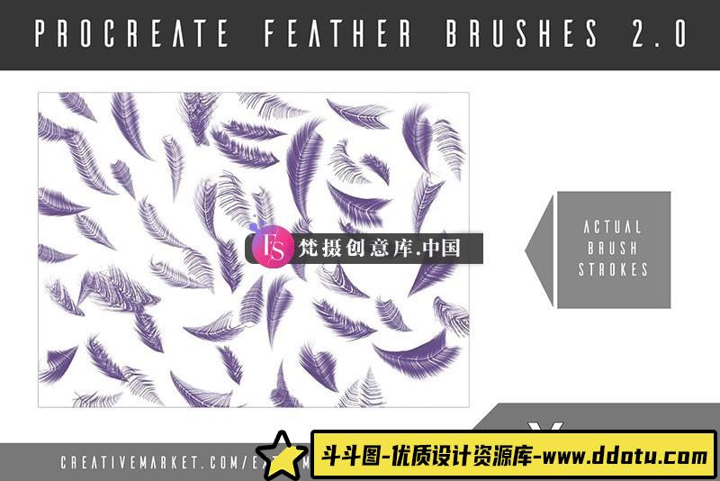 图片[4]-8种Procreate羽毛笔刷-斗斗图
