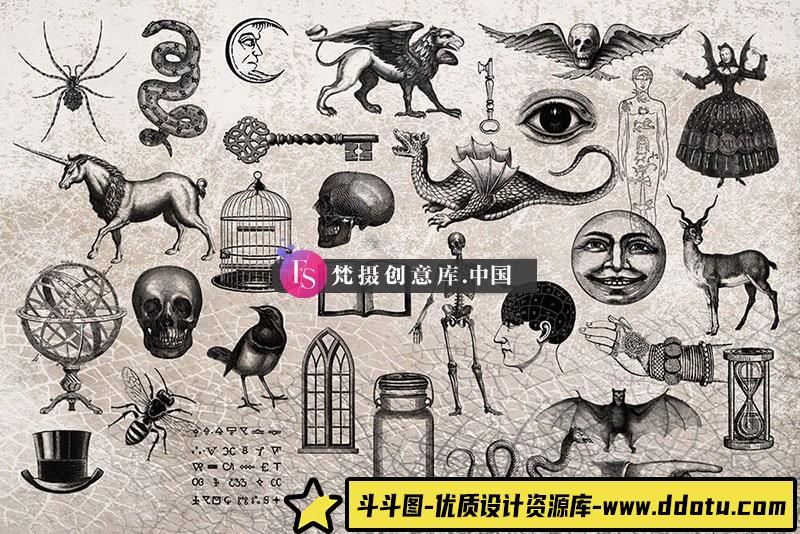 图片[3]-复古魔法元素Procreate笔刷-斗斗图