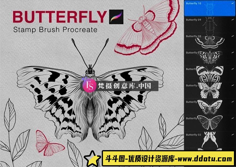 蝴蝶和昆虫图章Procreate笔刷-斗斗图
