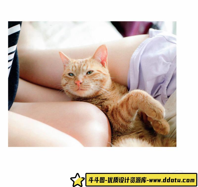 SY32- 青山裕企-ネコとフトモモ-摄影参考专区-389MB-69P