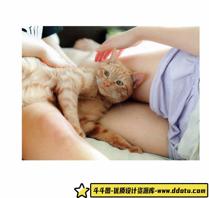 SY32- 青山裕企-ネコとフトモモ-摄影参考专区-389MB-69P