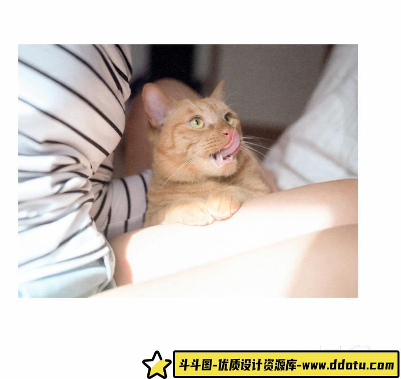 SY32- 青山裕企-ネコとフトモモ-摄影参考专区-389MB-69P