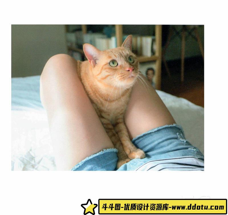 SY32- 青山裕企-ネコとフトモモ-摄影参考专区-389MB-69P