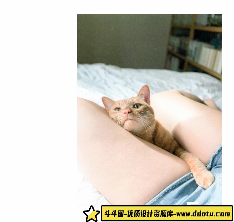 SY32- 青山裕企-ネコとフトモモ-摄影参考专区-389MB-69P