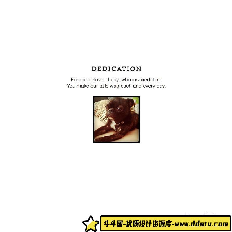 SY39- 照片墙上的狗-摄影参考专区-121MB-146P-1PDF