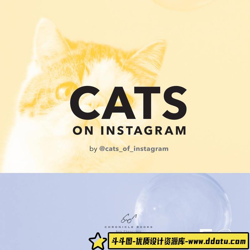 SY40- 照片墙上的猫-摄影参考专区-114MB-147P-1PDF