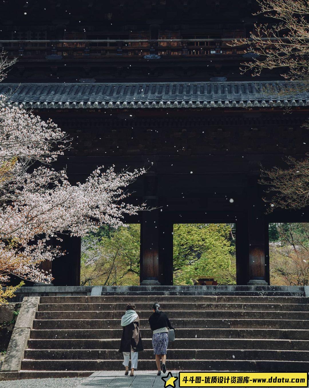 日本INS摄影师泽村洋兵(Yōhei Sawamura)小清新日系胶片写真欣赏