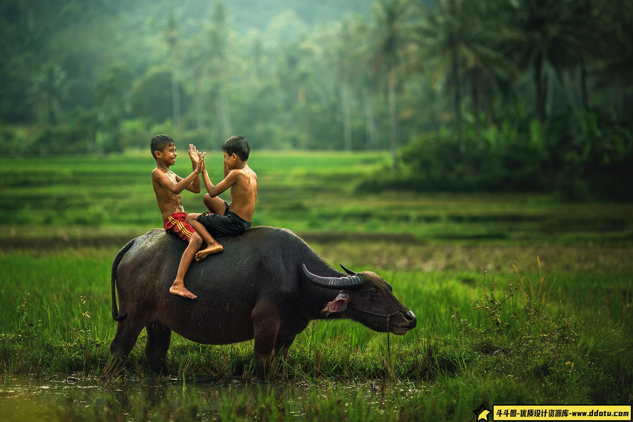 欧美摄影师Abe less摄影审美提升素材