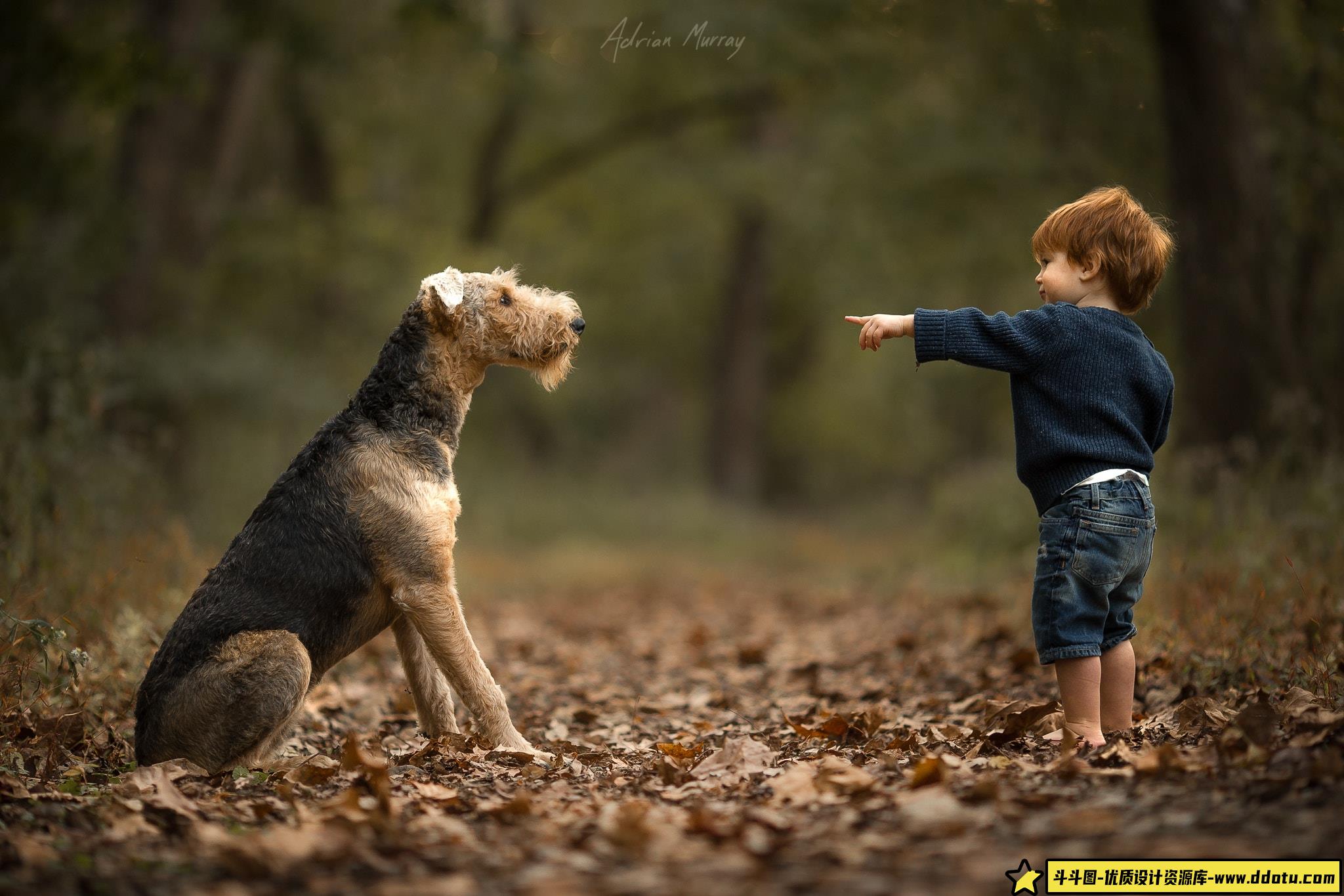 摄影师Adrian Murray 儿童摄影作品