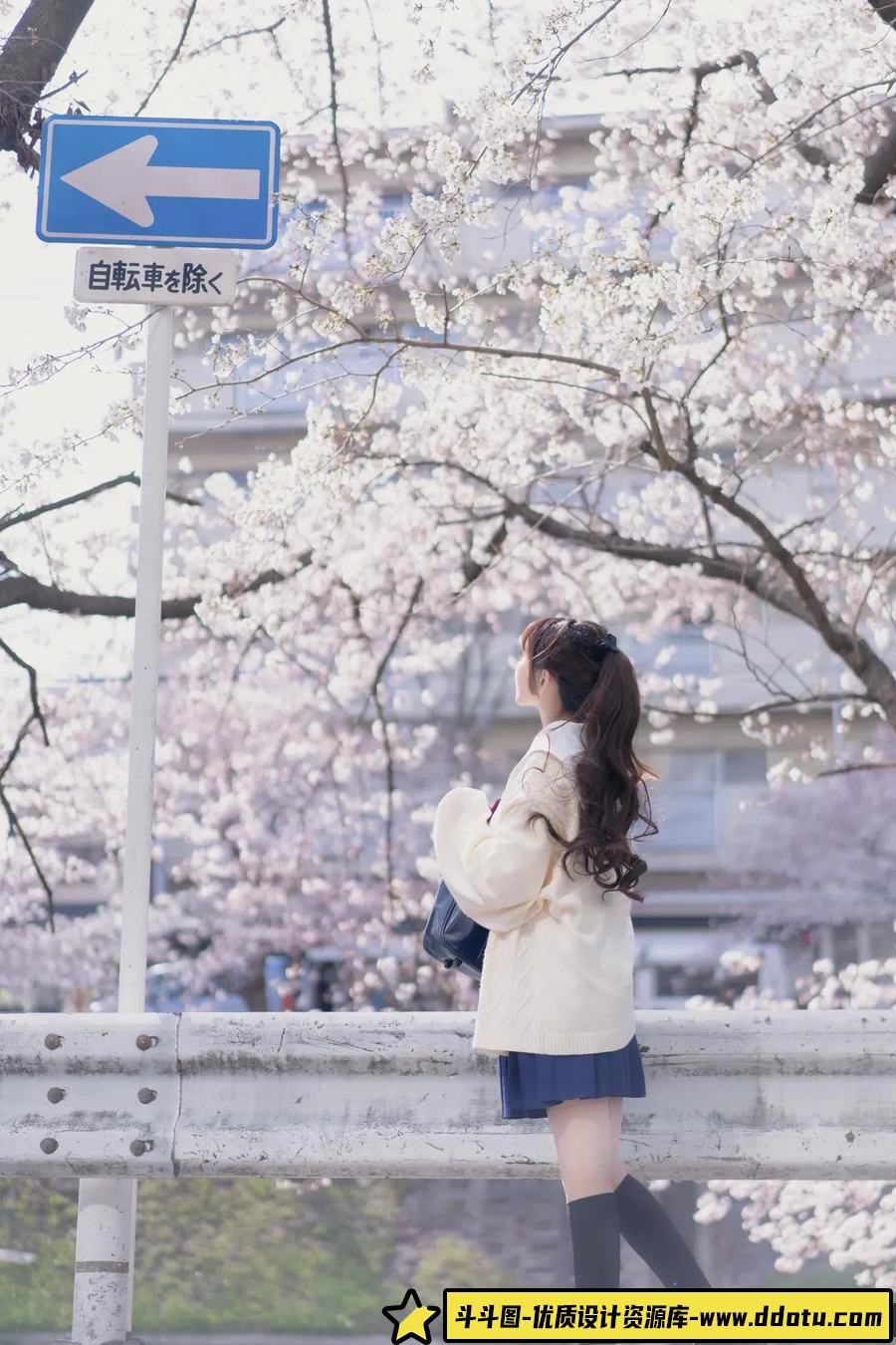 049-左保川の樱 -摄影参考审美提升 [18P-54.26 MB]