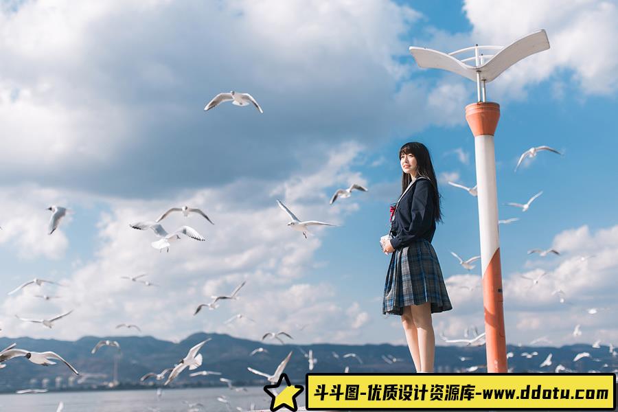 144-海鸥与JK -摄影参考审美提升 [13P-6.15 MB]-斗斗图