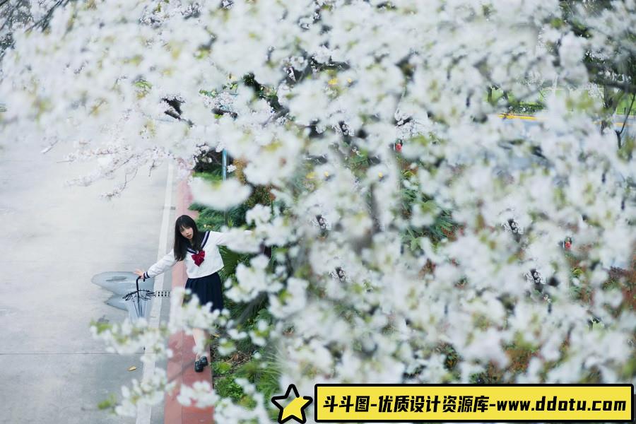 178-街边的春 -摄影参考审美提升 [20P-140.71 MB]-斗斗图