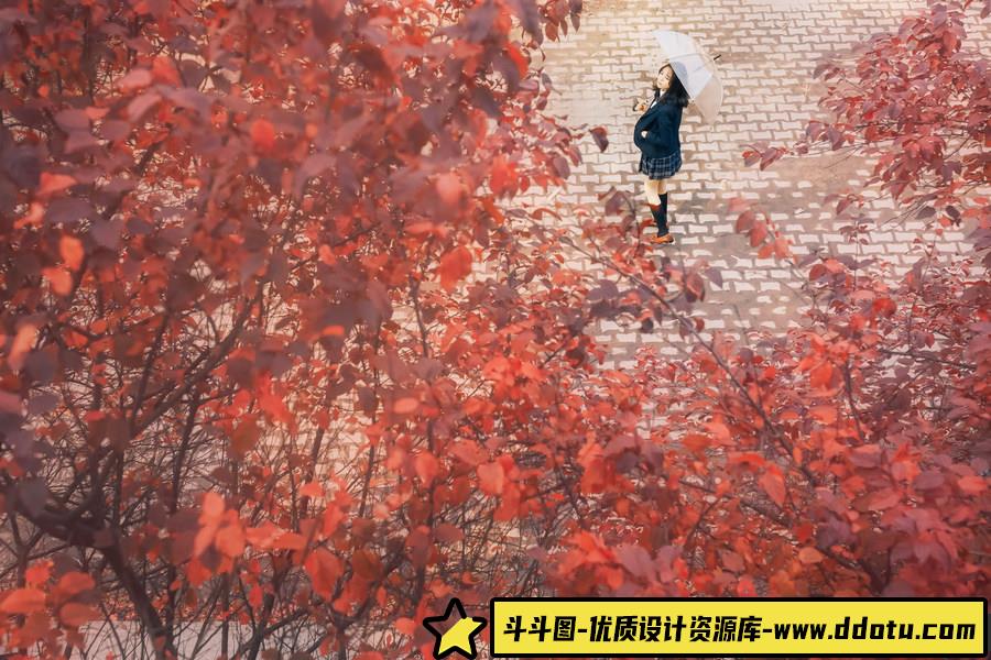 暖冬 -摄影参考审美提升 [15P-10.79 MB]-斗斗图