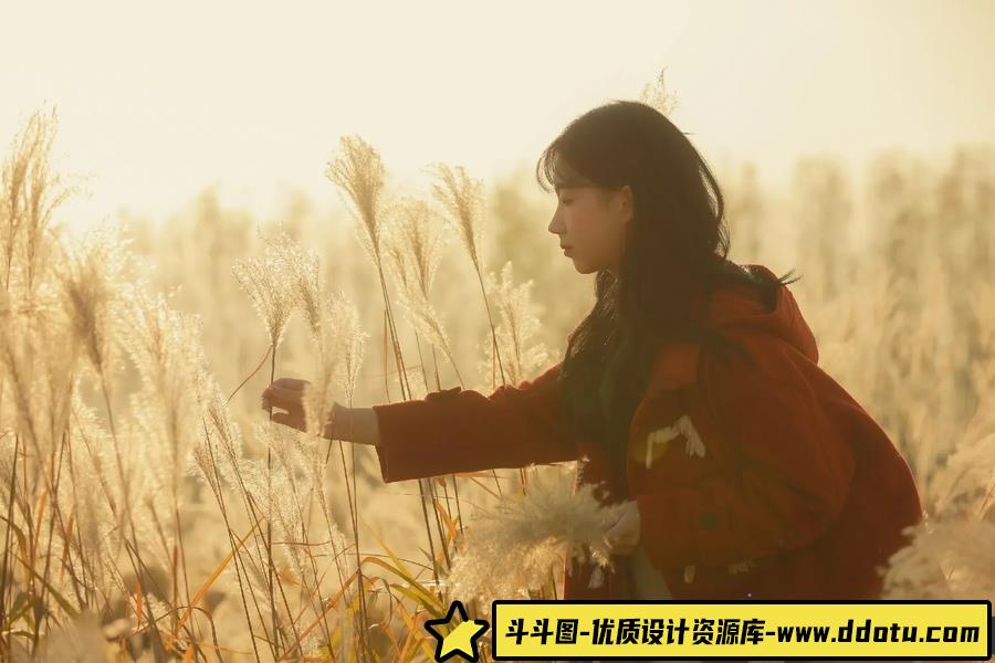 秋の暮れ -摄影参考审美提升 [16P-35.28 MB]-斗斗图