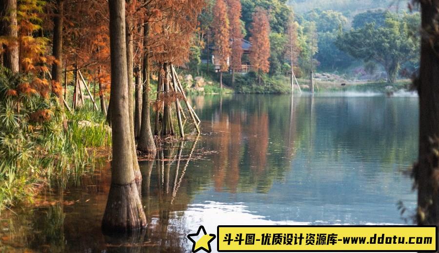 秋收冬藏 -摄影参考审美提升 [19P-191.96 MB]-斗斗图